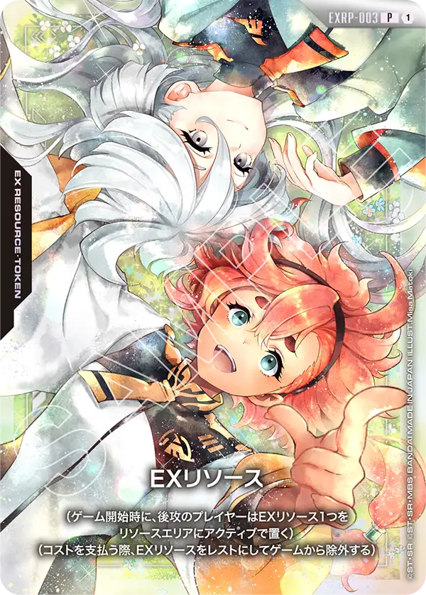 SOLD OUT EXリソース【P】(EXRP-003)